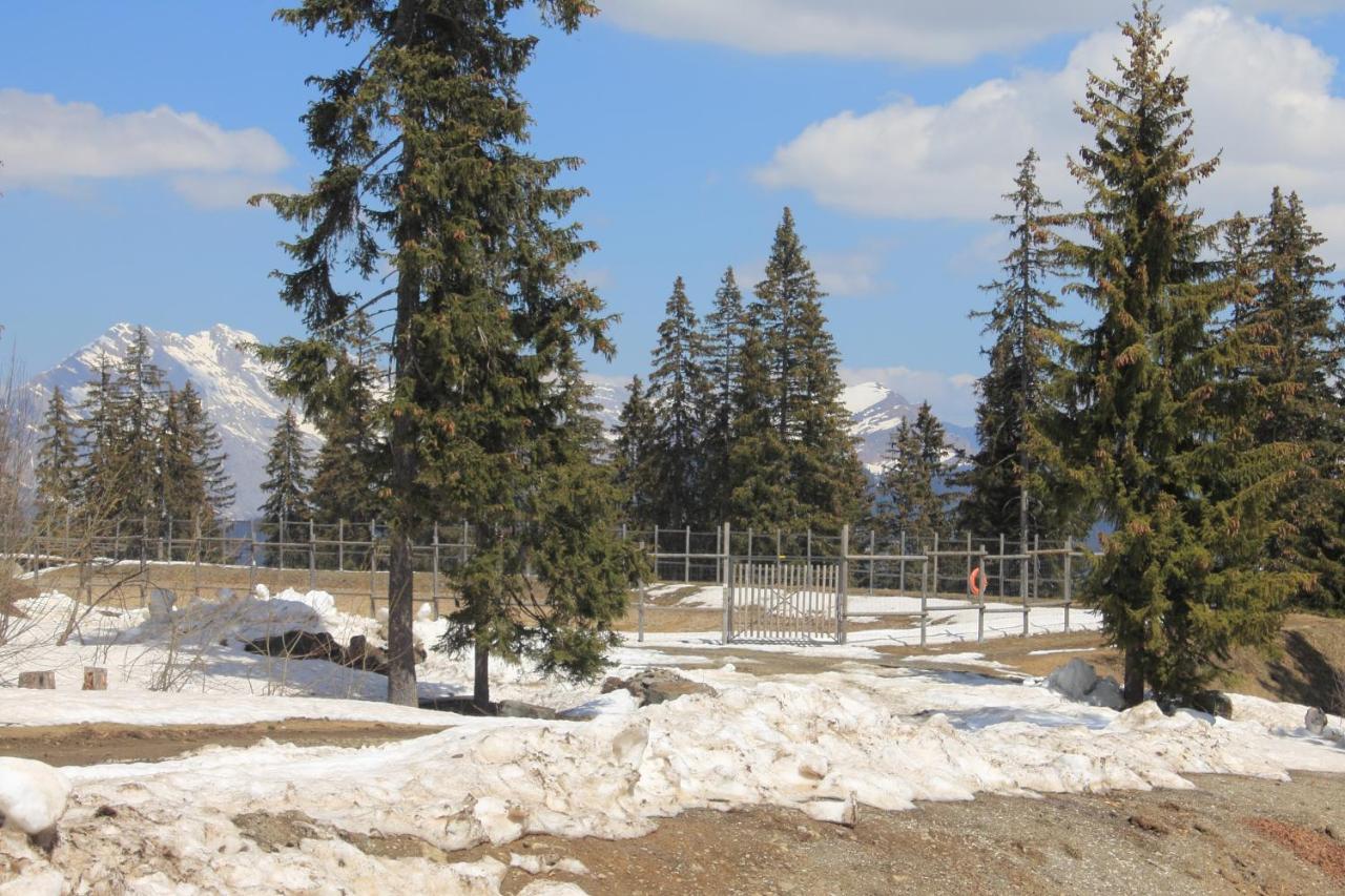 Appartement T2 Col De Merdassier Au Pied Des Pistes Manigod Kültér fotó