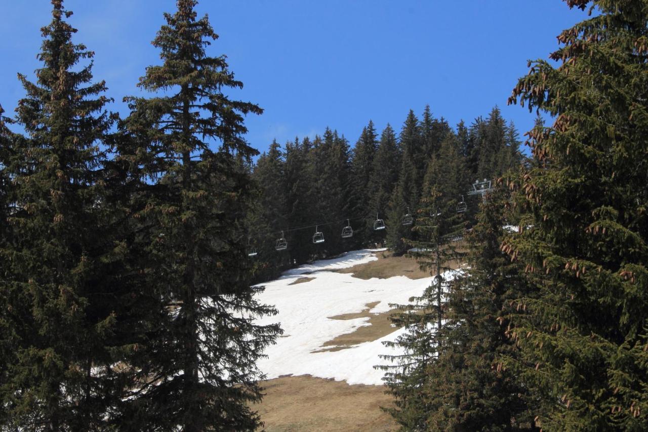 Appartement T2 Col De Merdassier Au Pied Des Pistes Manigod Kültér fotó