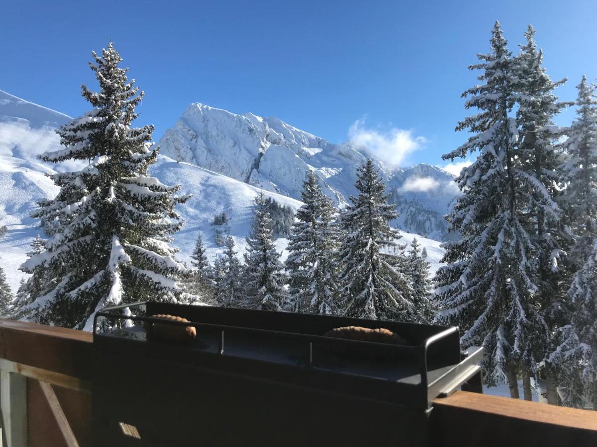 Appartement T2 Col De Merdassier Au Pied Des Pistes Manigod Kültér fotó